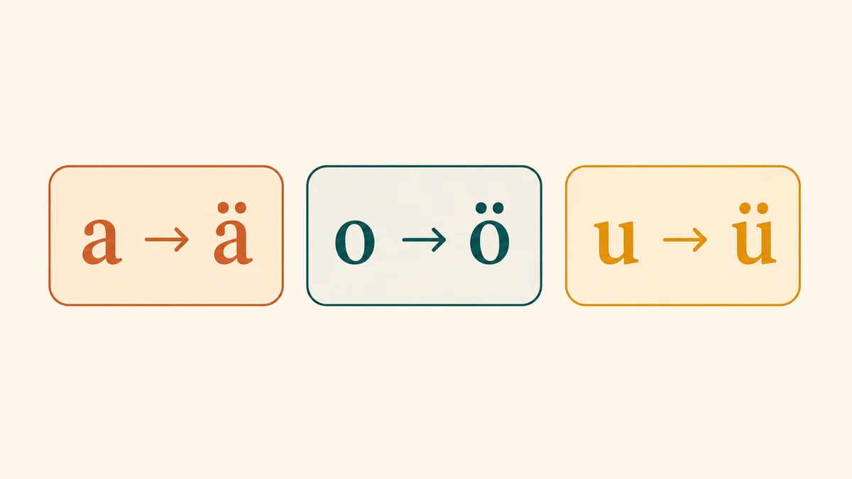 Transformarea vocalelor la plural prin Umlaut: a devine ä, o devine ö, u devine ü